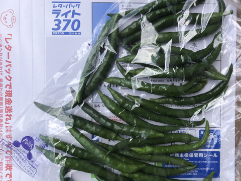 青唐辛子　フレッシュ　300g　爽やかな辛さ