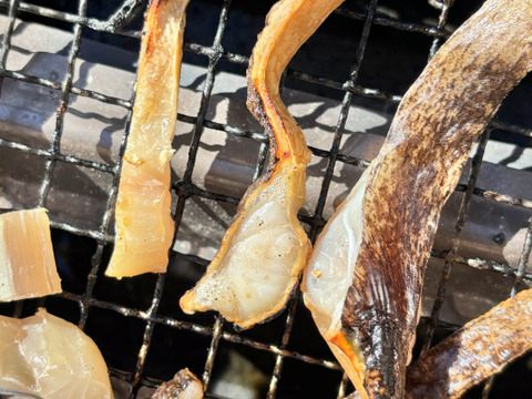 冷凍！海のギャング‼️徳島宍喰産ウツボ(調理済み)！焼くだけ、揚げるだけ！約500g