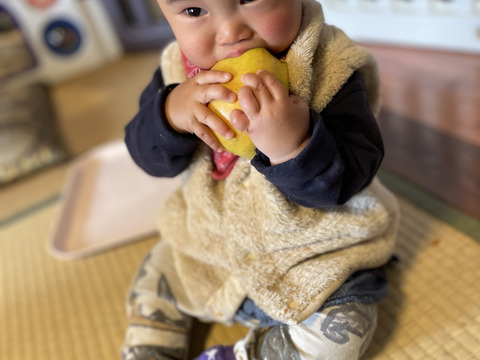 息子3歳&2ヶ月記念‼️【りんごの宝石箱】農薬50％減　最低3品種
