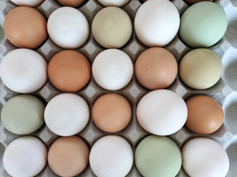色々な卵３0個と美味しい野草3種のセット　合鴨アヒルの卵野菜セット