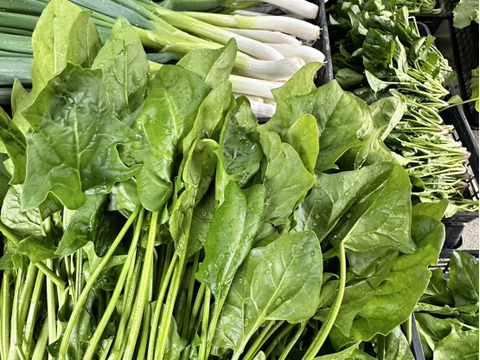 【農家直送】朝採れ野菜セット🥬 新鮮野菜詰め合わせ 丹波産 産地直送 野菜セット