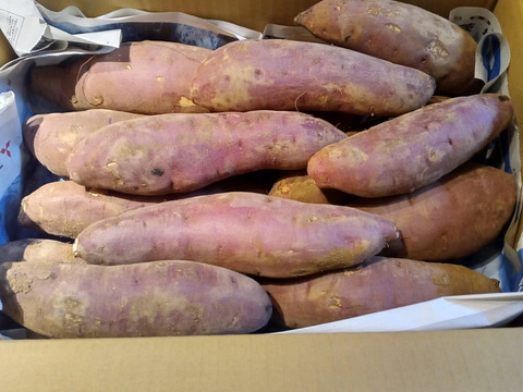 熟成1ヶ月超えでお届け！》紅はるか（5kg）(茨城県産)・(サツマイモ