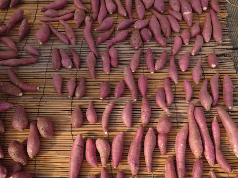 さつまいも【シルクスイート】約500g