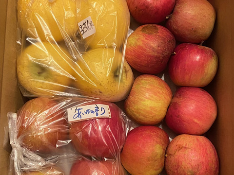 今季最終プライスダウン加工用シワシワりんごも入ります🍎10㌔サンふじ大玉中玉
