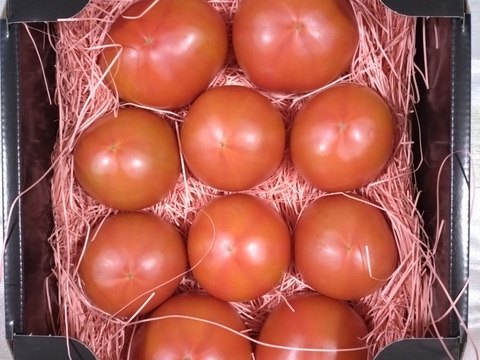 【全国トマト選手権入賞】ぜいたくトマト《冬の陣》