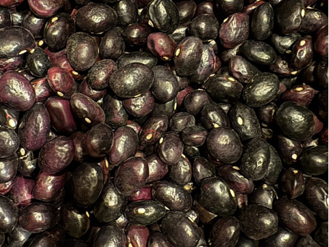 希少‼️栗豆🫘【北海道産】農薬化学肥料･除草剤不使用🫘250g☺️メール便