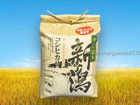 🎯新米予約✨️味に自信あり玄米5kg❇️令和6年お米ソムリエが作る🌾新潟県五泉市四ヶ村産🌾特栽米コシヒカリ🍚🙋なんと😲❇️2400円❇️【翌日発送 毎日便 対応】