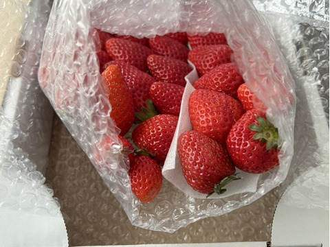 ２セット４箱
プチ豪華なとちおとめとスカイベリーのセット