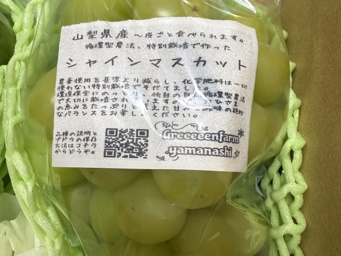 【朝どれ】【9月からお届け:1kg以上！】シャインマスカット 1kg箱