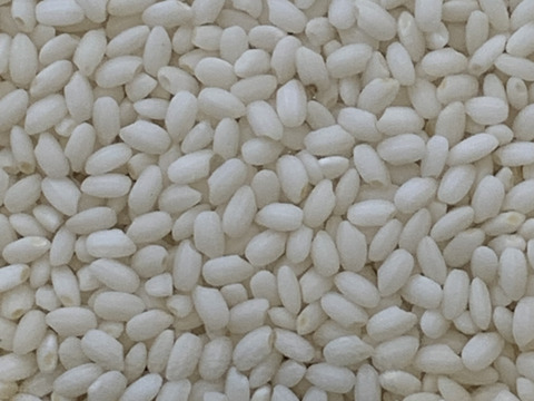 もち米 農薬肥料不使用の自然栽培【ヒヨクモチ】令和五年度産 新米 