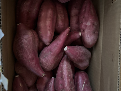 ほくほく食感と上品な甘さ！なると金時(訳あり)5kg