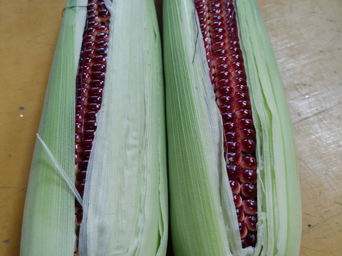 紫スイ－トコ－ン【大和ル－ジュ】８０サイズ段ボール満杯
　　10本以上　本日１日だけのサービス販売です！