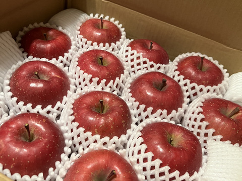 【販売開始！】青森県産りんご「サンふじ」贈答用 フルーツキャップ詰め 約10kg(5kg×2箱) 【光センサー選果済】