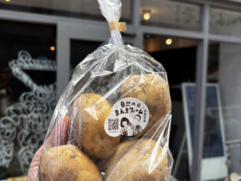 【自然栽培】新じゃが・新にんにく・玉ねぎセット