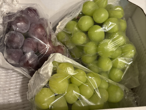 訳あり特価！！　大人気シャイン1房＆ピオーネ2房のぶどう詰め合わせ　２kg☆