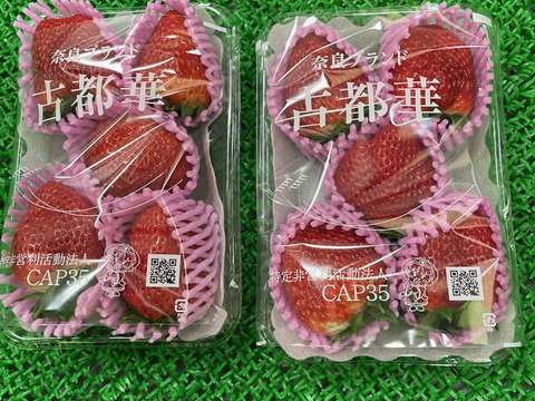 奈良県産ブランドいちご(古都華)大粒