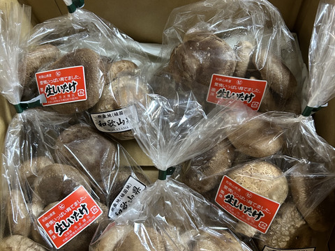 菌床生しいたけ！小さくても美味しい１㎏