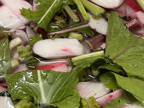 赤かぶの糀漬け