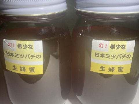 希少な日本蜜蜂、日本ミツバチの生はちみつ　５００g X２本　‼️