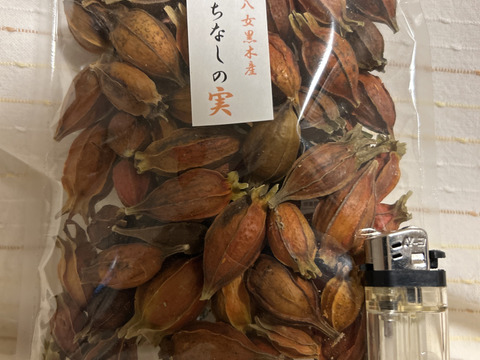国産乾燥クチナシ 100g