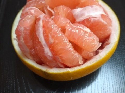 【柑橘食べ比べ】色んな柑橘を一箱で制覇！お楽しみセット