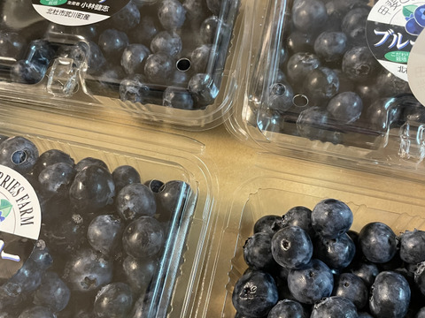【期間限定】2025年6月～9月発送！農家秘蔵の極甘ブルーベリー　中粒1000g（250g×4パック）
