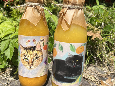 【農薬不使用】ネーブルオレンジストレートジュース&青島みかんストレートジュースセット