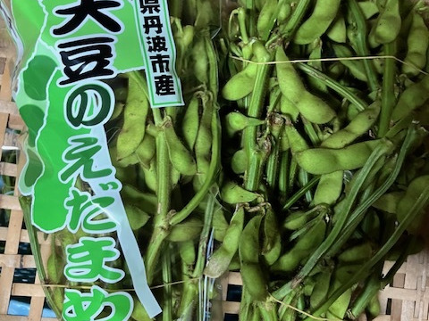 丹波産の丹波黒枝豆！早期特別割引価格！(食べチョク初出品の為)【枝付き】 750g×2袋　農薬/化学肥料/除草剤不使用、真心こめて育てました！今だけの特別な味をぜひ『10月中旬より発送』『数量限定』