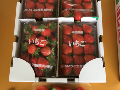菅元総理の地元から関東東北地域限定。市場には出回ってない！ジューシーなイチゴ(300g×4)