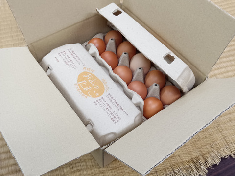 一滴でも美味しい！お山のたまご10個入り×2パック