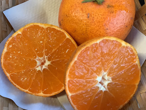 【栽培期間中　農薬不使用】小原紅早生　みかん２㎏(知多半島産)