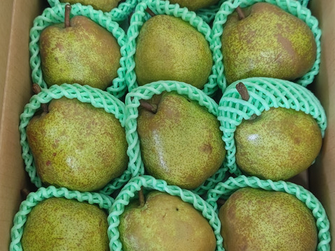 フードロスにご協力下さい‼️山形県産ラフランス【訳あり4キロ】