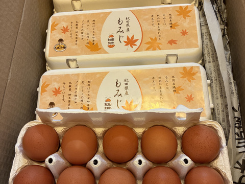 １０個入れパック入り国産鶏種もみじの新鮮たまご36個(４０個入り４個割れ保障,１０個入り４パック)