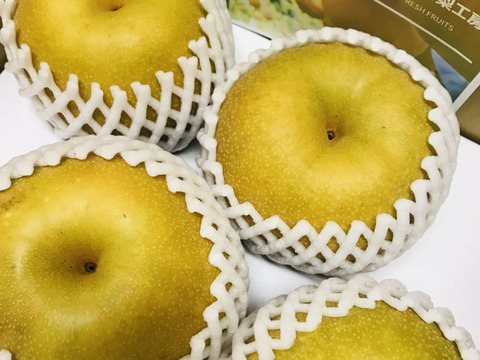 【幸水梨 大玉】甘い‼️まるで梨ジュース✨️贈答用約2.5kg (4~6個入) ひとつひとつ色付きを確認して樹上完熟で収穫します😋鮮度を保つため早朝に収穫しクール便でお届け🚚【夏ギフト】