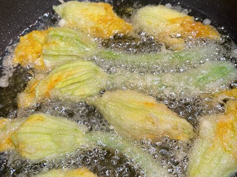 【希少野菜】花ズッキーニ　12輪（雄花）