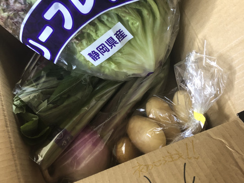 採りたて野菜！お試し5品セット！（本州の方限定）