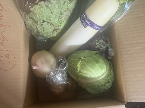 【お歳暮対応可能】採りたては最高のスパイス！畑感じる野菜Aセット！（６品）【本州の方限定】