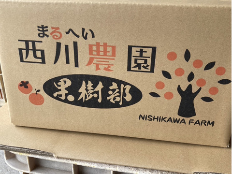 柿　ひらたねなし柿【家庭用】約5キロ〔20個ぐらい〕