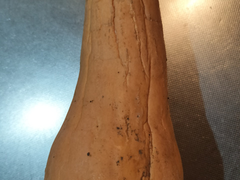 熟成★バターナッツかぼちゃ　4ｋｇ