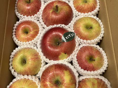 【冬ギフト】 🍎レビュー数1700件突破！！《家庭用》青森完熟葉とらずふじ８〜１２玉(約３kg)🍎ID119812