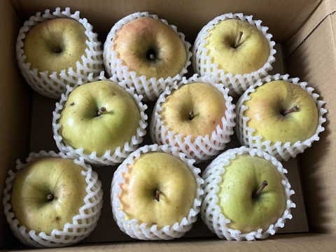 🍏売り尽くし🍏黄色りんご「もったいない」レスキュー便　【規格外品】３Kg　９個から１５個入り