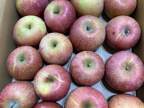 果汁溢れる！ サンふじ【わけあり家庭用 5kg 】