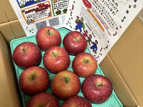 2026年度産予約開始🙇このりんご絶対食べて欲しい‼️甘くて芳醇な香り🍎千雪りんご6キロ