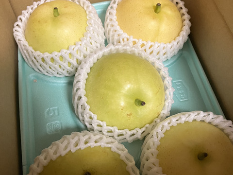 【夏ギフト】鳥取県産 なつしずく 梨　約2kg