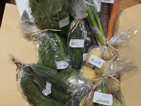 自然栽培野菜一人暮らしの方にオススメセット【7〜9 種類】