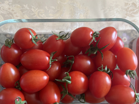 やみつきになるミニトマト－とまとのこころ（1㎏）