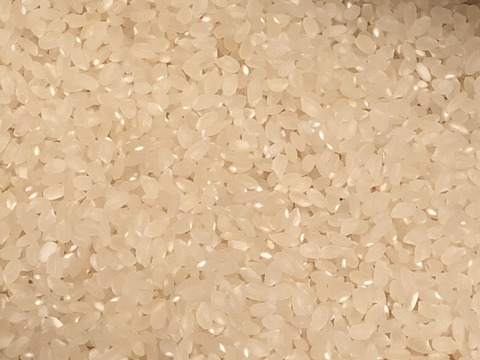 『新米』精米5㎏× 2袋。沢水で育てた減農薬栽培米。秋田県産あきたこまち【令和3年産】数量限定。10㎏（5㎏×2袋）になります。
精米してからお届けいたしますので、若干数量が減ります💦