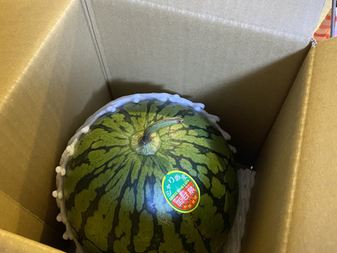 👑大人気👑【産直で即完売❗️】
【渾身の一玉】😋🍉理想のスイカ🍉