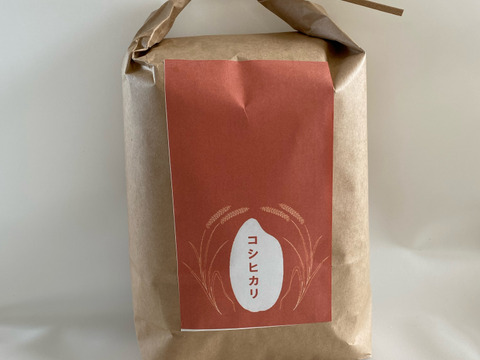 令和7年産　天戸川の水で育ったコシヒカリ🌾