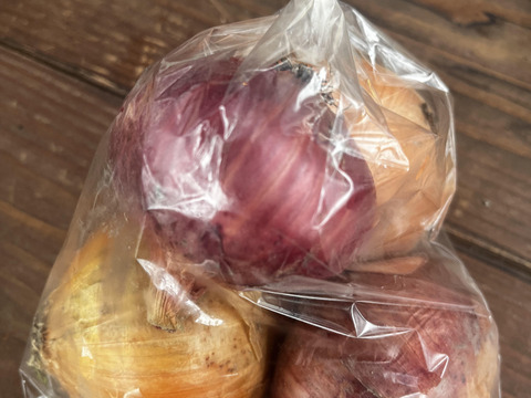 有機JAS認証☆採れたておまかせ野菜セット☆彡10～12品